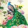 Green Peacock Birds Paint By Numbers