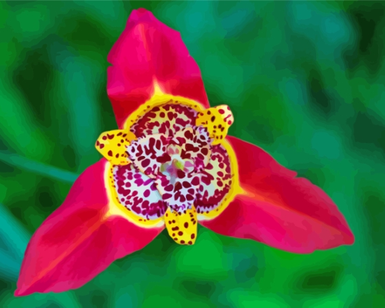 Finalizing the Tiger Flower Red Bloom artwork