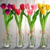 Tulip Glass Vase Beauty Paint By Numbers