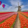 Tulip Landscapes Paint By Numbers