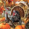 Autumn Turkeys Birds Paint By Numbers