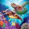 Turtle Lovers Animal Paint By Numbers