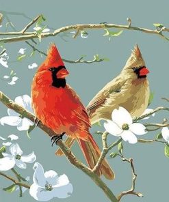 Red Cardinals Picture Paint By Numbers