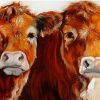 Two Brown Cows Painting Paint By Numbers