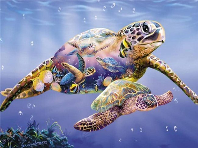 Sea Turtle Wildlife Paint By Numbers