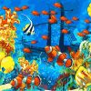 Tropical Clown-Fish Paint By Numbers