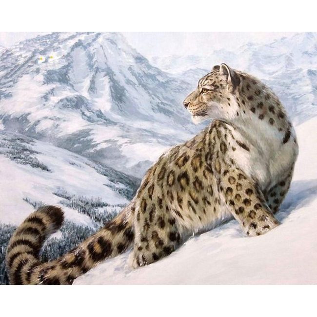 Snow Leopard Modern Art Paint By Numbers