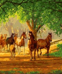 Herd Horses Paint By Numbers