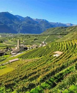 Majestic Valtellina Valley Paint By Numbers