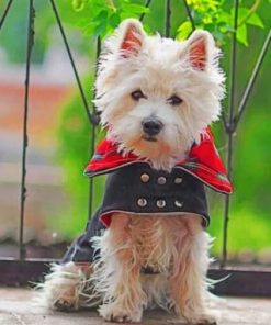 Westie Dog Vampire Paint By Numbers
