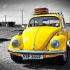 Volkswagen Beetle Classics Paint By Numbers