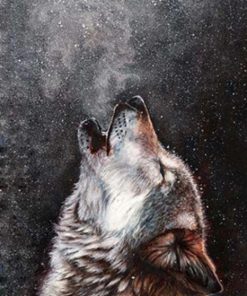 Wolf Animal Paint By Numbers