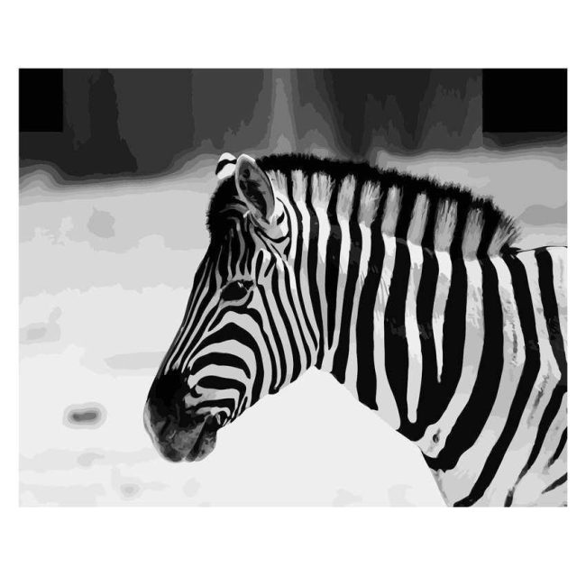 Zebra Safari Art Paint By Numbers