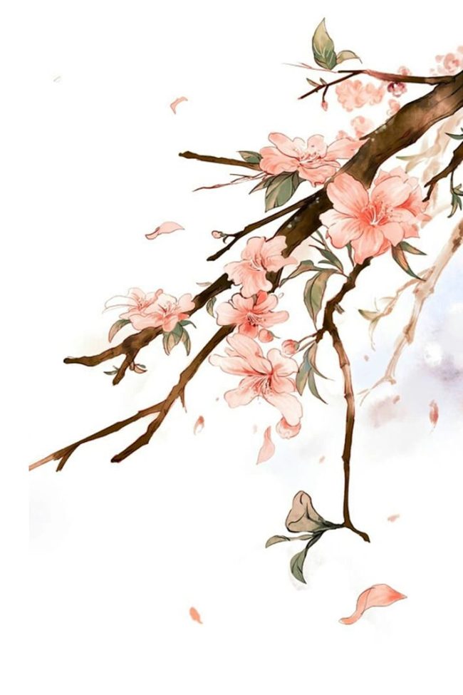 Cherry Blossom Picture Paint By Numbers