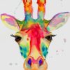 Rainbow Giraffe Colors Paint By Numbers