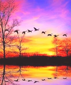 Sunset Waterfowl Scene Paint By Numbers