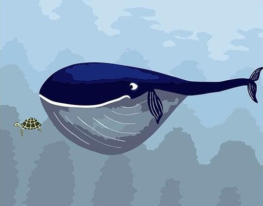 Finalizing Blue Whale and Turtle artwork