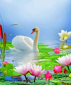Elegant Swan Serenity Paint By Numbers