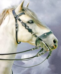 White Horse Stallions Paint By Numbers