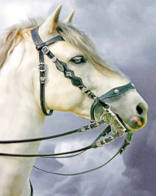 Finalizing the White Horse Stallions Paint By Numbers artwork