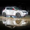 White Nissan Juke Car Paint By Numbers