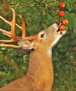 Whitetail Deer Virginia Paint By Numbers