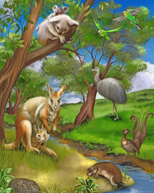 Finalized artwork hanging