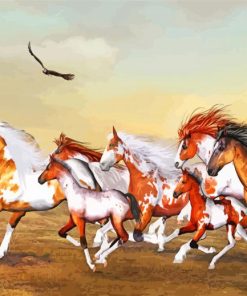 Majestic Wild Horses Paint By Numbers