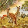 Wild Kangaroo Adventure Paint By Numbers