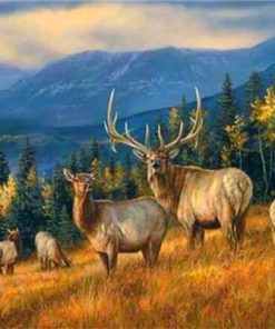 Wild Reindeer Animals Paint By Numbers