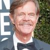 William H Macy Celebrity Paint By Numbers