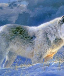 Majestic Wolf Paint By Numbers