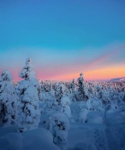 Snowy Winter Landscape Paint By Numbers