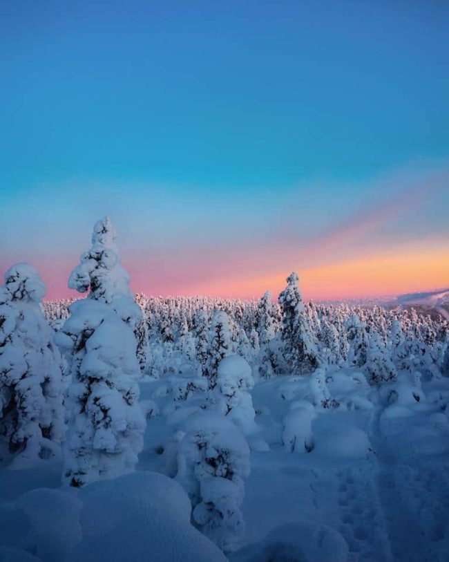 Snowy Winter Landscape Paint By Numbers