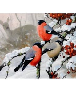 Modern Winter Birds Paint By Numbers