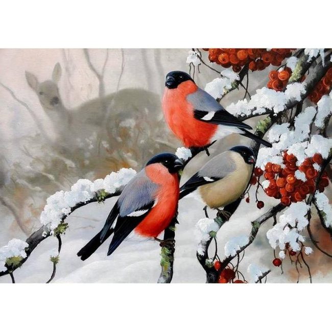 Modern Winter Birds Paint By Numbers