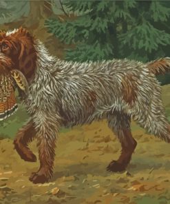 Wirehaired Pointing Griffon Dog Paint By Numbers