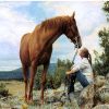 Majestic Horse Companion Paint By Numbers