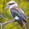 Blue Winged Kookaburra Paint By Numbers