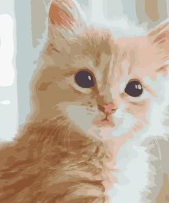 Fluffy Tabby Kitten Paint By Numbers