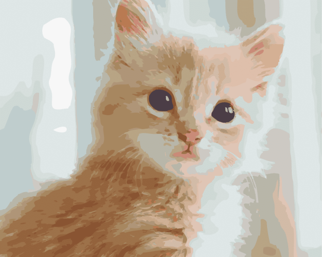 Fluffy Tabby Kitten Paint By Numbers