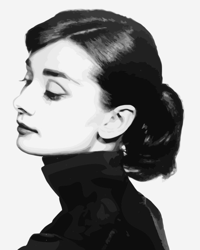 Audrey Hepburn Black White Paint By Numbers