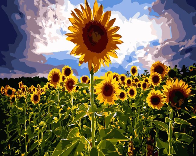 Sunflower Blooms Paint By Numbers