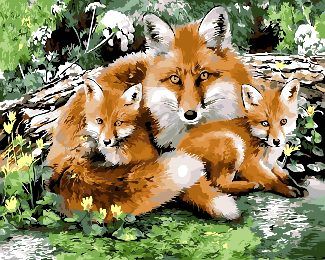 Wild Fox Animals Paint By Numbers