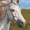 Thoroughbred Horse Paint By Numbers