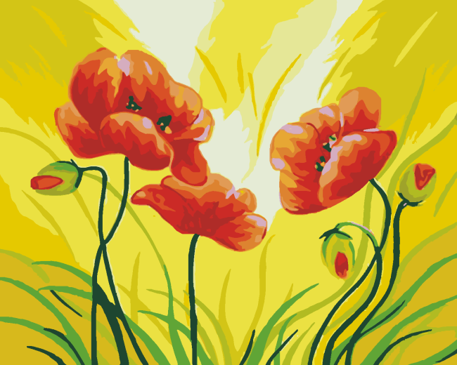 Red Poppy Spring Flowers Paint By Numbers