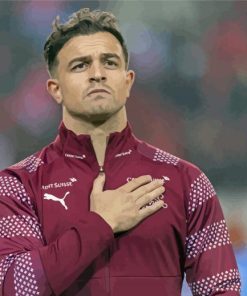 Swiss Footballer Xherdan Shaqiri Paint By Numbers