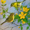 Yellow Finch Birds Paint By Numbers