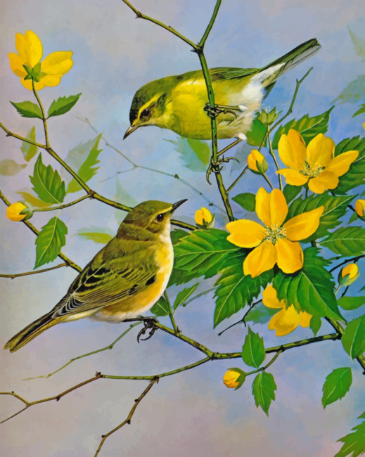 Finalizing Yellow Finch Birds Artwork