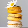 Yellow Macarons Sweet Paint By Numbers